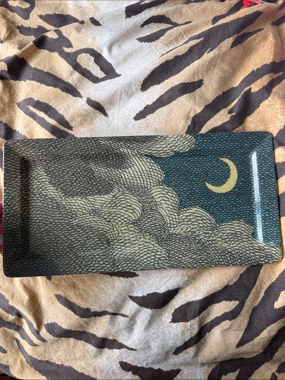 John Derian Target Midnight Snack Moon Rectangle 14”X 7” Serving Platter